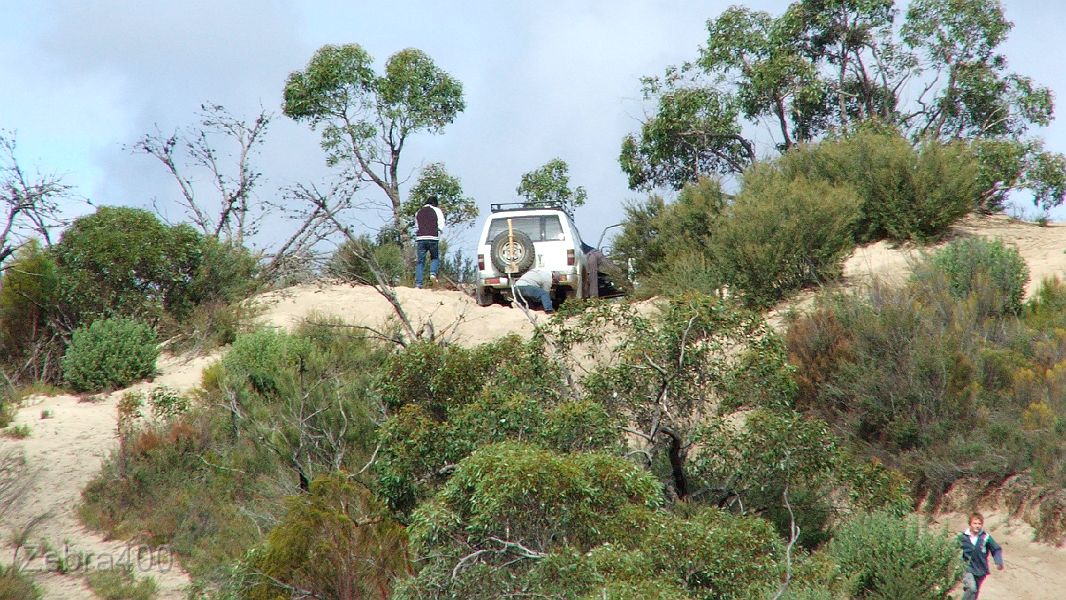 24-DJ digs in on the crest of a soft Border Track dune.JPG